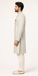 Men's Mint Green Multicolour Stripe Embroidered Indo-Western Sherwani - view 3